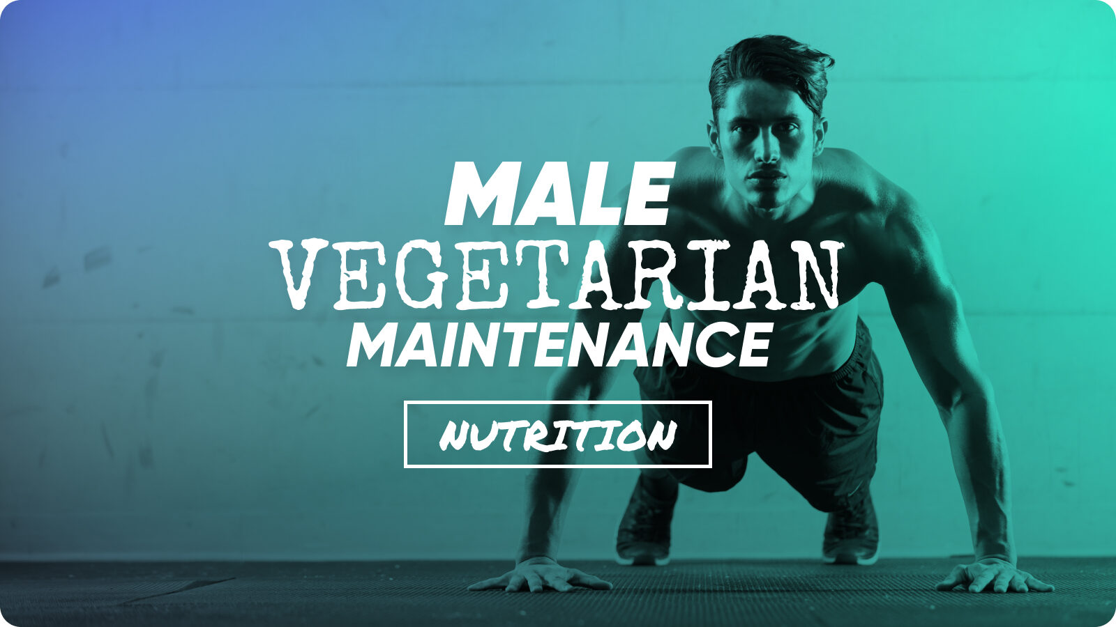 Men's Vegetarian Maintenance Nutrition