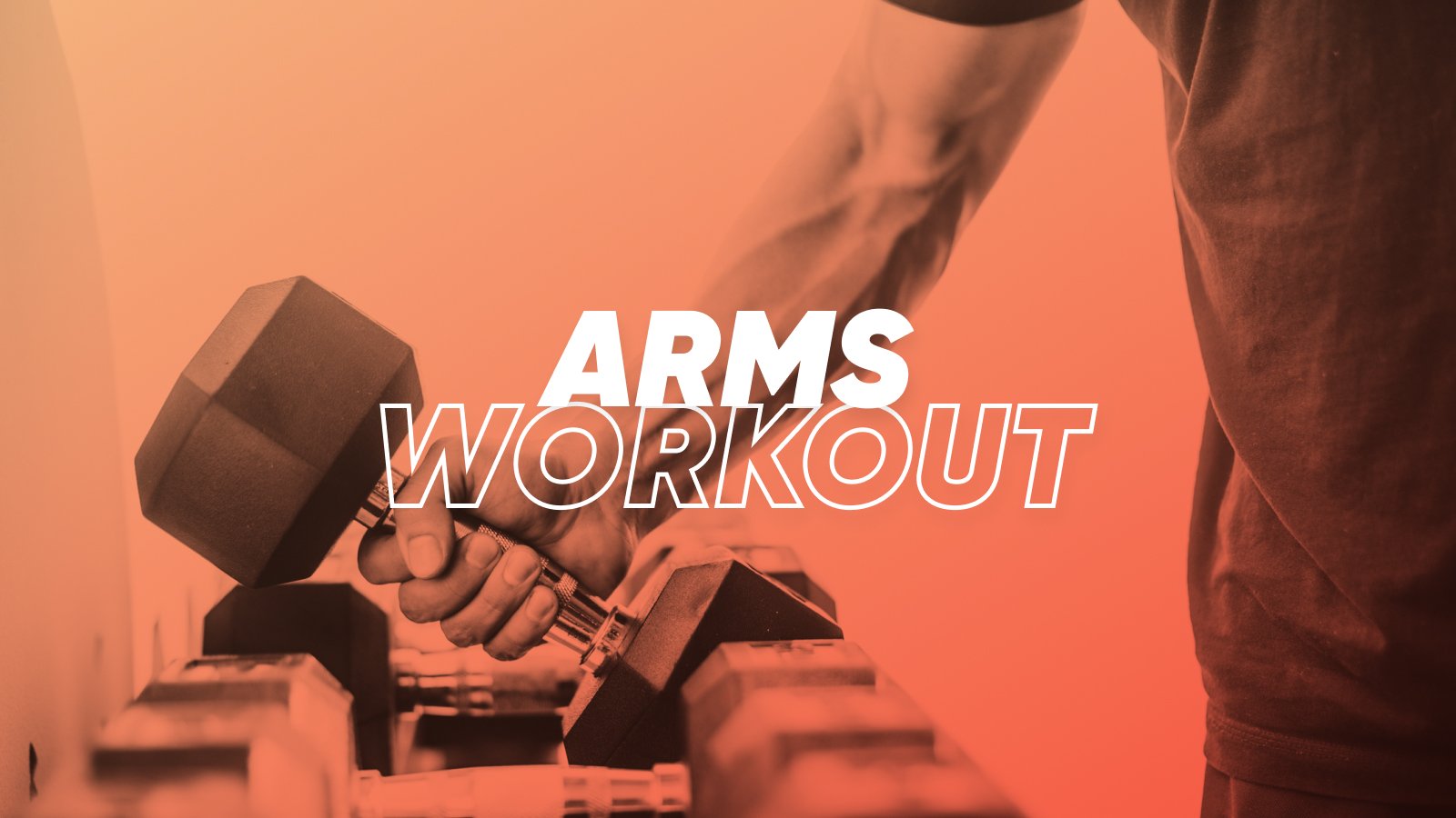 Arms Workout
